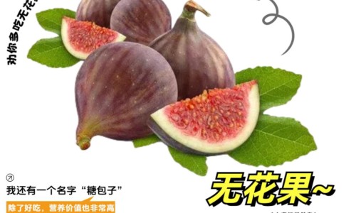 当归生姜煮水喝的功效-当归生姜水功效网 - 网站提供当归加生姜的功效与作用小常识、当归十生姜